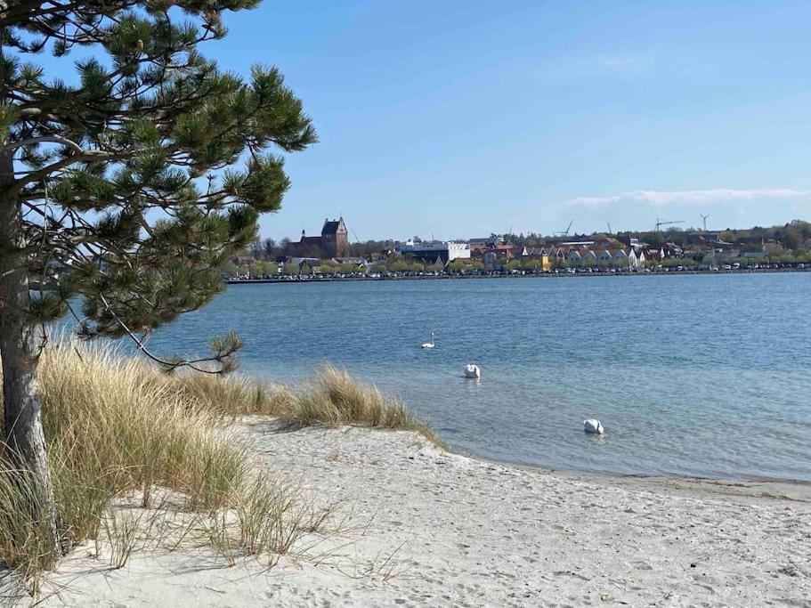 Seaview, Beach, Sunsets, Nature Heiligenhafen Exterior photo