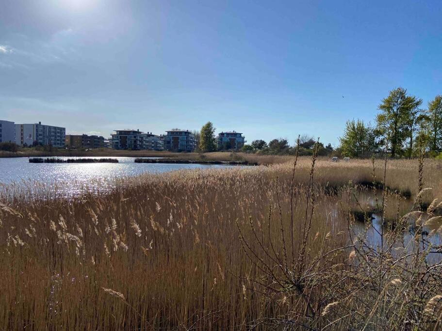 Seaview, Beach, Sunsets, Nature Heiligenhafen Exterior photo